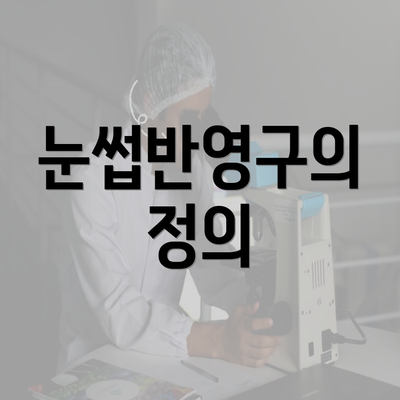 눈썹반영구의 정의