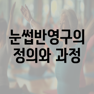 눈썹반영구의 정의와 과정