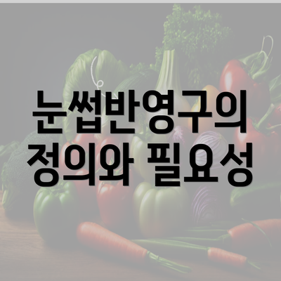 눈썹반영구의 정의와 필요성