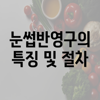 눈썹반영구의 특징 및 절차