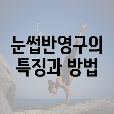 눈썹반영구의 특징과 방법