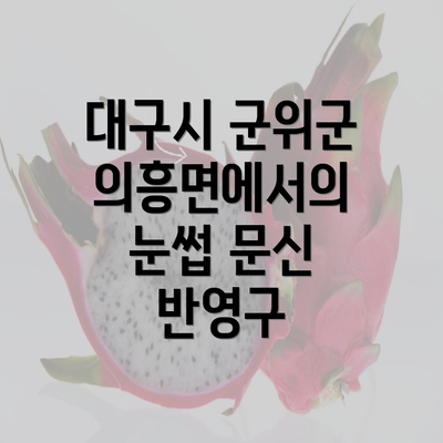 대구시 군위군 의흥면에서의 눈썹 문신 비용 및 가격