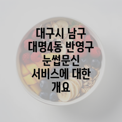 대구시 남구 대명4동 반영구 눈썹문신 서비스에 대한 개요