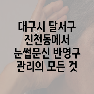 대구시 달서구 진천동에서 눈썹문신 반영구 관리의 모든 것