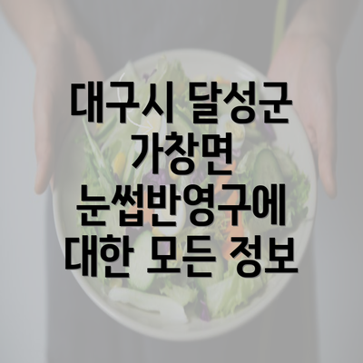 대구시 달성군 가창면 눈썹반영구에 대한 모든 정보