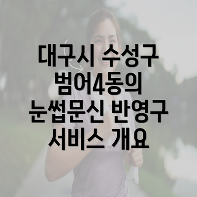 대구시 수성구 범어4동의 눈썹문신 반영구 서비스 개요