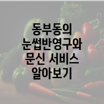 동부동의 눈썹반영구와 문신 서비스 알아보기