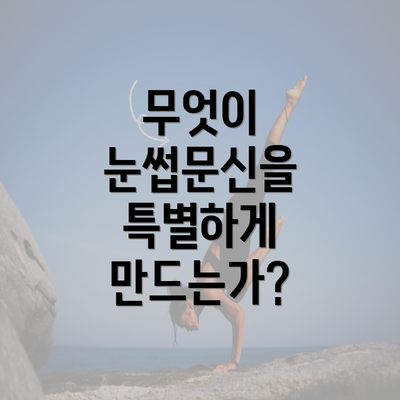 무엇이 눈썹문신을 특별하게 만드는가?