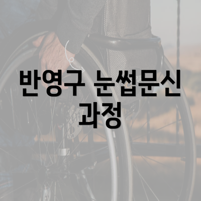 반영구 눈썹문신 과정