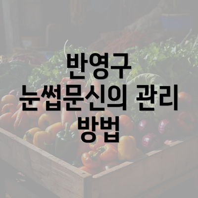 반영구 눈썹문신의 관리 방법