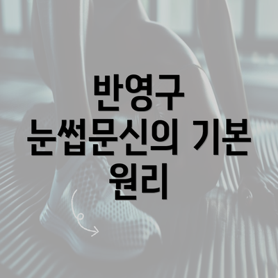 반영구 눈썹문신의 기본 원리