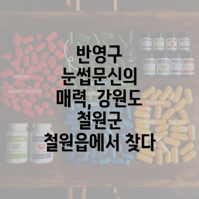 반영구 눈썹문신의 매력, 강원도 철원군 철원읍에서 찾다