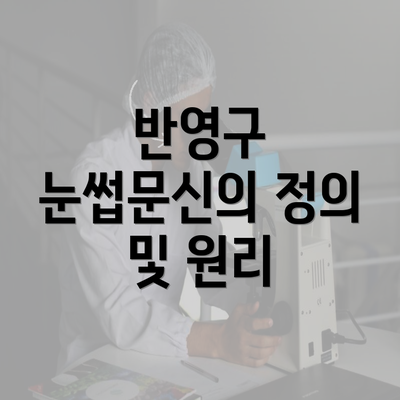 반영구 눈썹문신의 정의 및 원리