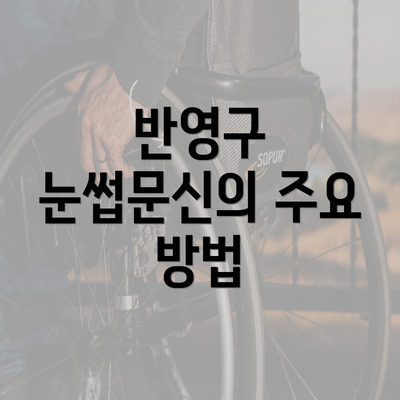 반영구 눈썹문신의 주요 방법