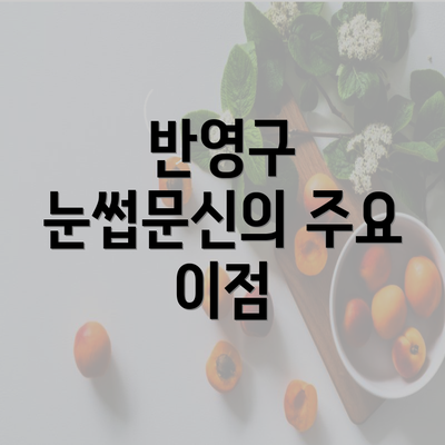 반영구 눈썹문신의 주요 이점