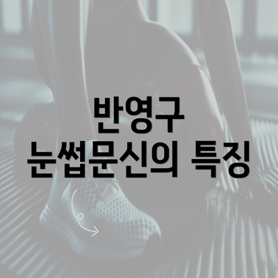 반영구 눈썹문신의 특징