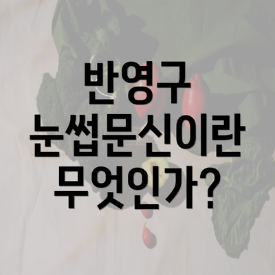 반영구 눈썹문신이란 무엇인가?