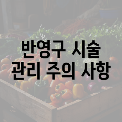 반영구 시술 관리 주의 사항