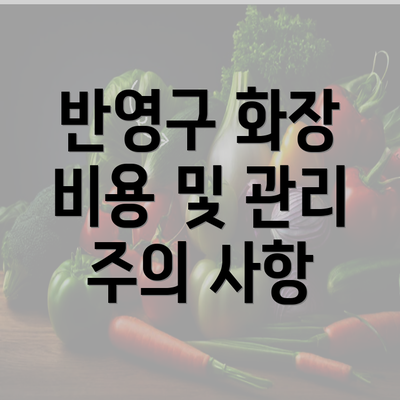 반영구 화장 비용 및 관리 주의 사항