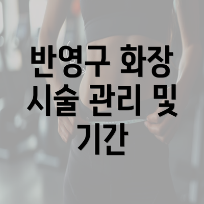 반영구 화장 시술 관리 및 기간