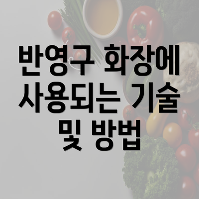 반영구 화장에 사용되는 기술 및 방법