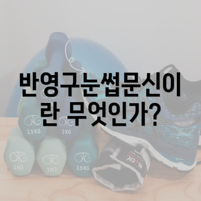 반영구눈썹문신이란 무엇인가?