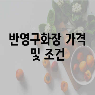 반영구화장 가격 및 조건