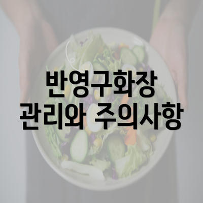 반영구화장 관리와 주의사항