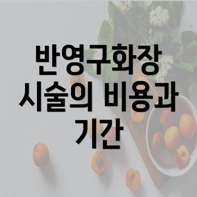 반영구화장 시술의 비용과 기간