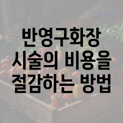 반영구화장 시술의 비용을 절감하는 방법