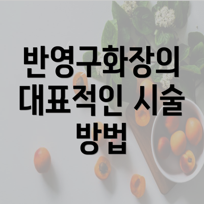 반영구화장의 대표적인 시술 방법