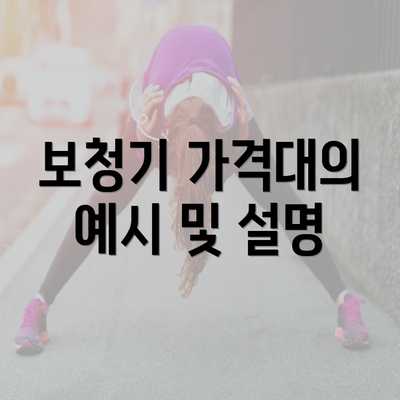 보청기 가격대의 예시 및 설명