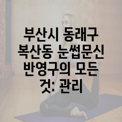 부산시 동래구 복산동 눈썹문신 반영구의 모든 것: 관리