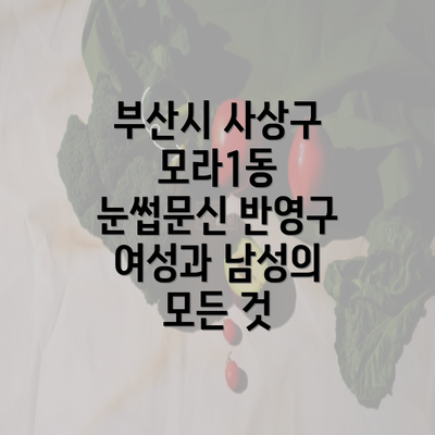 부산시 사상구 모라1동 눈썹문신 반영구 여성과 남성의 모든 것