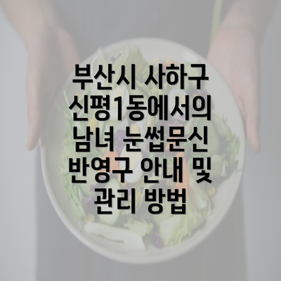 부산시 사하구 신평1동에서의 남녀 눈썹문신 반영구 안내 및 관리 방법