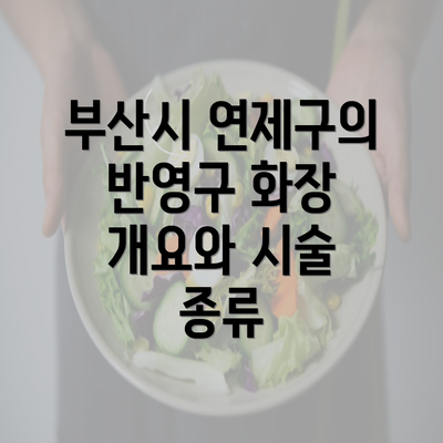 부산시 연제구의 반영구 화장 개요와 시술 종류