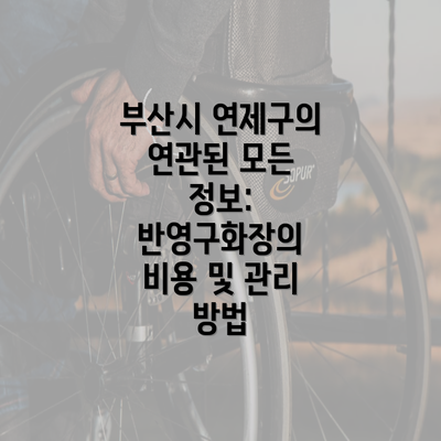 부산시 연제구의 연관된 모든 정보: 반영구화장의 비용 및 관리 방법