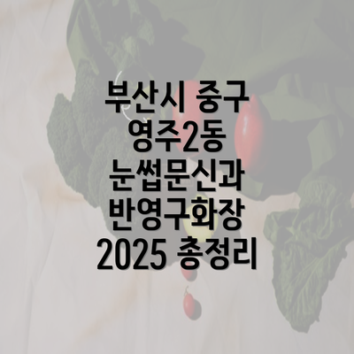 부산시 중구 영주2동 눈썹문신과 반영구화장 2025 총정리