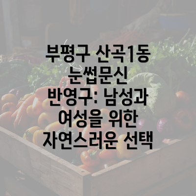 부평구 산곡1동 눈썹문신 반영구: 남성과 여성을 위한 자연스러운 선택