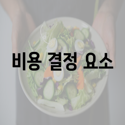 비용 결정 요소