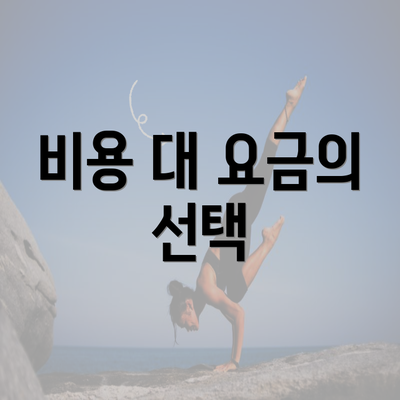 비용 대 요금의 선택