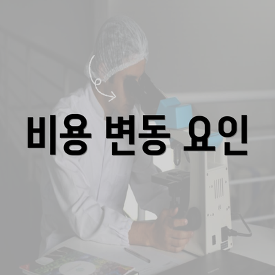 비용 변동 요인