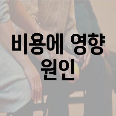 비용에 영향 원인