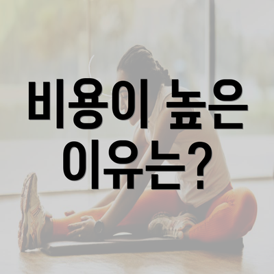 비용이 높은 이유는?