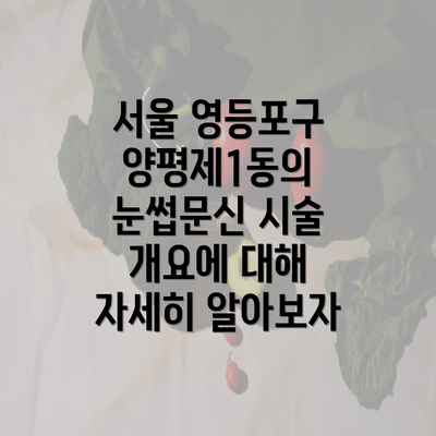 서울 영등포구 양평제1동의 눈썹문신 시술 개요에 대해 자세히 알아보자