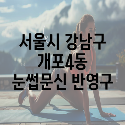 서울시 강남구 개포4동 눈썹문신 반영구