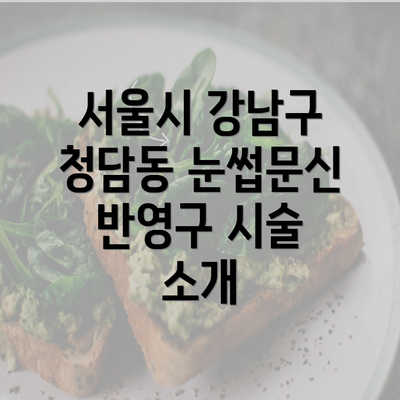 서울시 강남구 청담동 눈썹문신 반영구 시술 소개