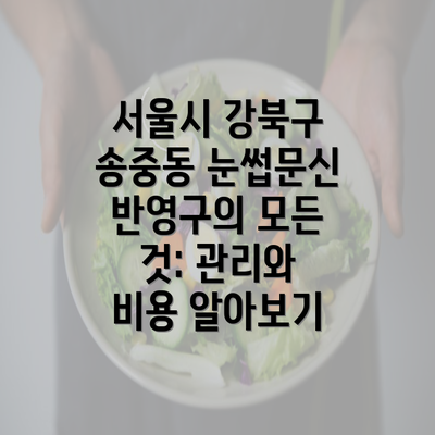 서울시 강북구 송중동 눈썹문신 반영구의 모든 것: 관리와 비용 알아보기