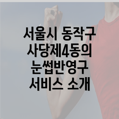 서울시 동작구 사당제4동의 눈썹반영구 서비스 소개