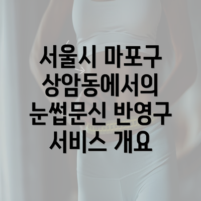 서울시 마포구 상암동에서의 눈썹문신 반영구 서비스 개요